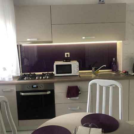 Tudor Apartment Brăila Kültér fotó
