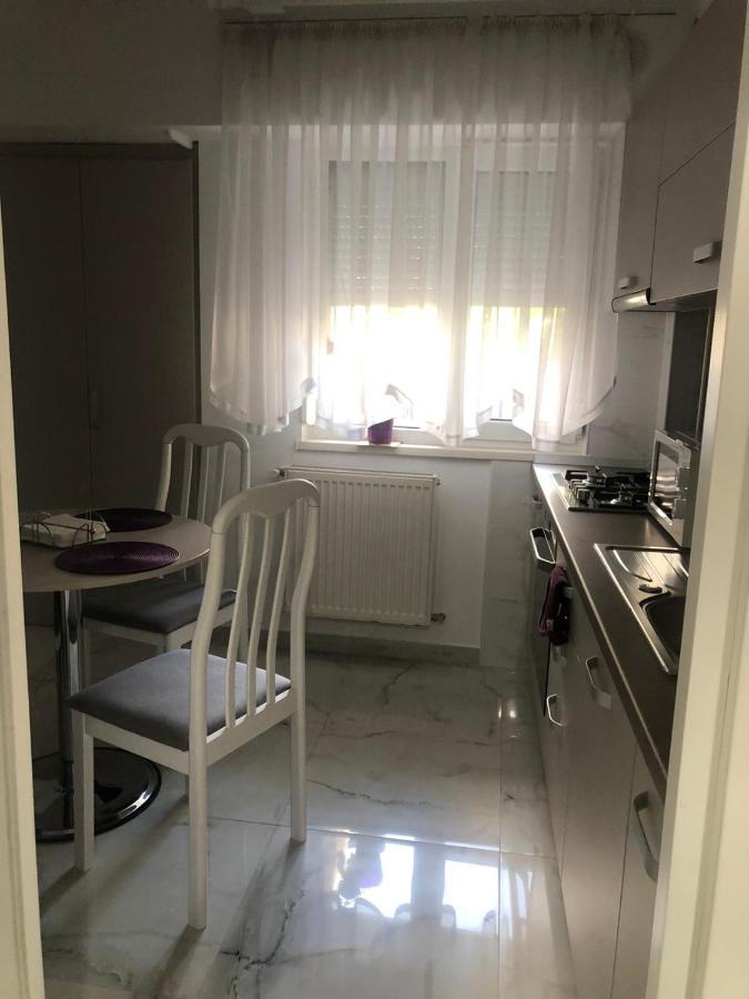 Tudor Apartment Brăila Kültér fotó
